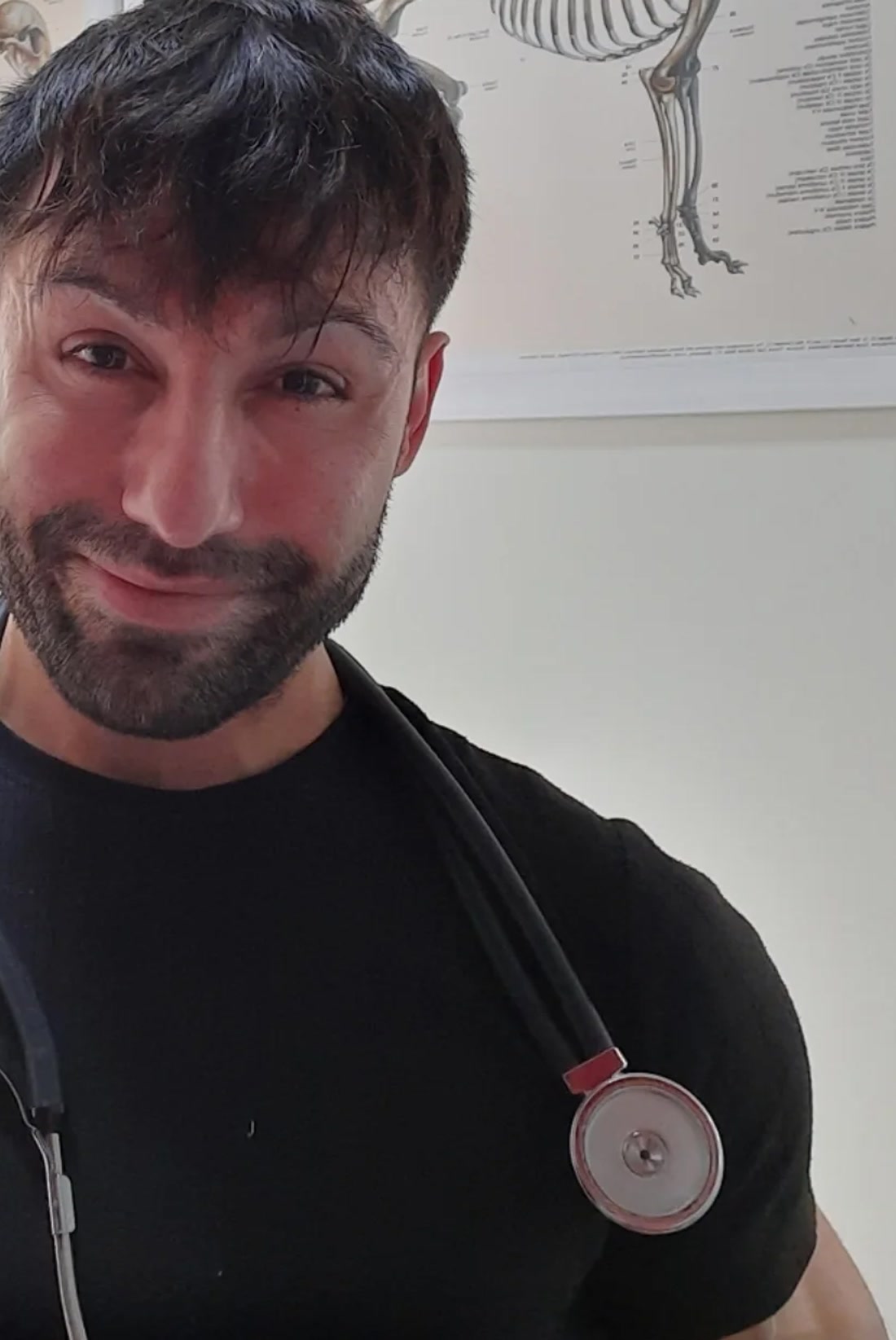Veteriner Hekim M. Sefa Aras, Old MacDonald Veteriner Kliniği muayene odasında